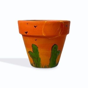 Cactus clay plant pot/ planter